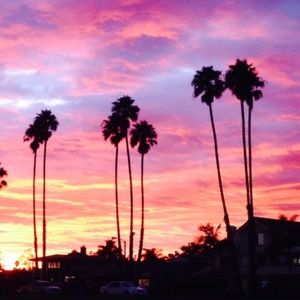 Meet Posher, Lisa from Santa Barbara - Upscale2U